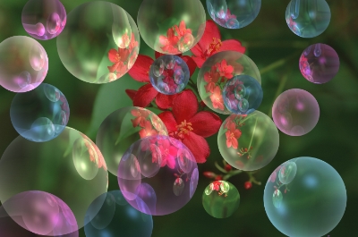 1c0f7770-4689-4e06-9a87-405ae800c500_zpsb1a48ada